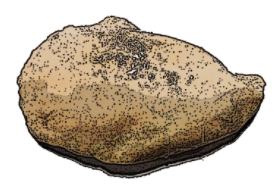 スクリーンショット 2017-08-01 10.55.12